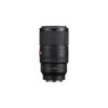 Sony 100mm F2.8 Macro GM