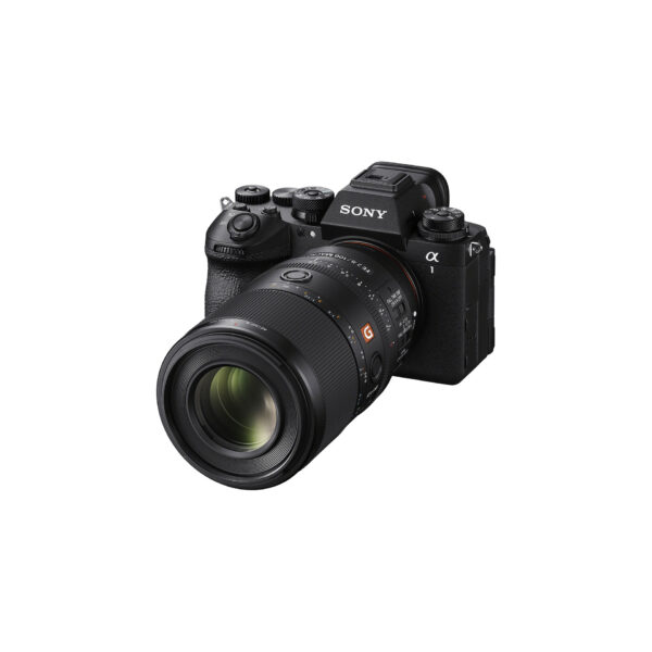 Sony 100mm F2.8 Macro GM