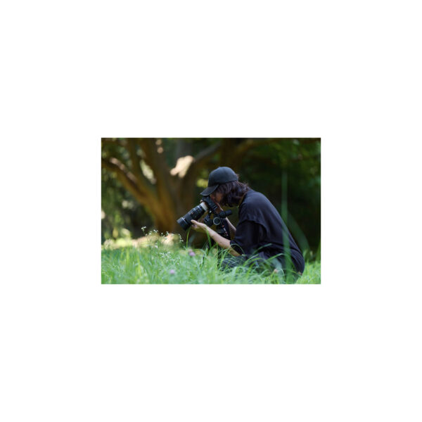 Sony 100mm F2.8 Macro GM