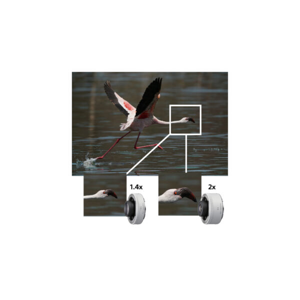 Sony 200-600mm03 Sony 200-600mm